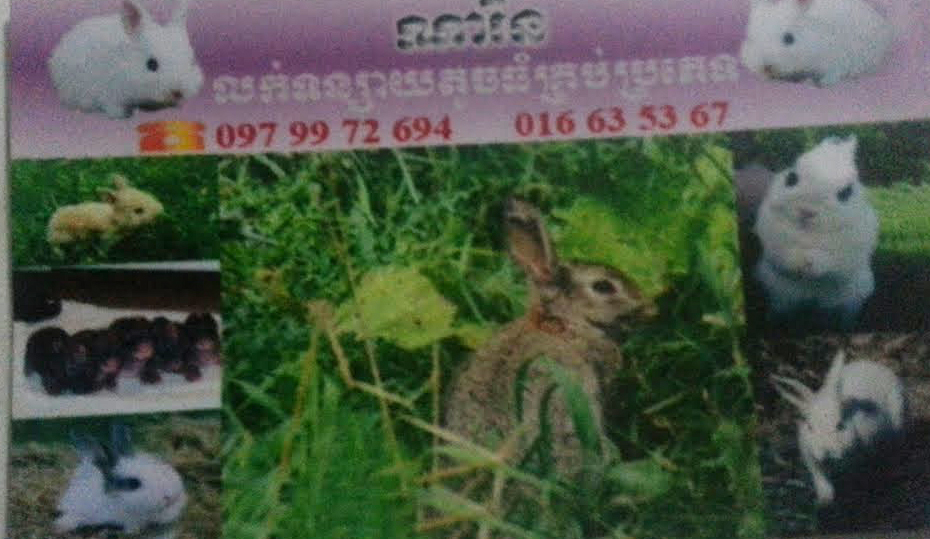 Malen rabbit farm name card